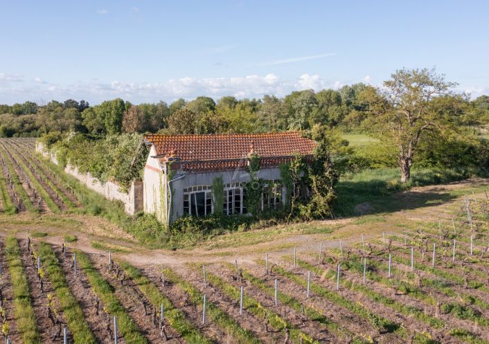 vente Domaine Le Loroux Bottereau