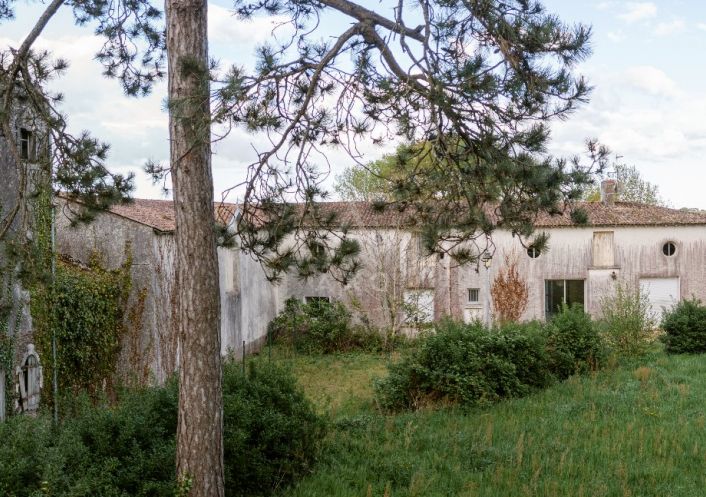 vente Domaine Le Loroux Bottereau