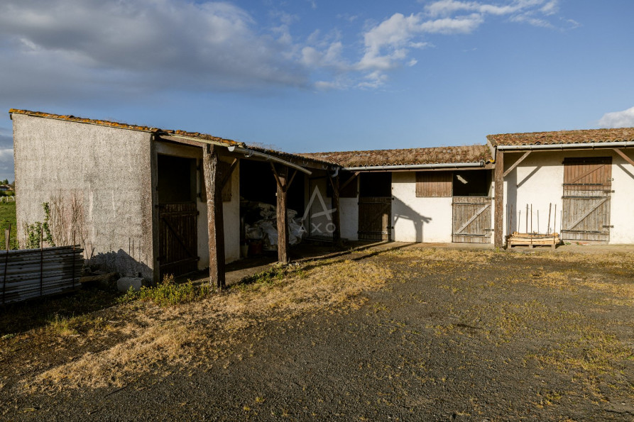 vente Domaine Le Loroux Bottereau - Photo 9