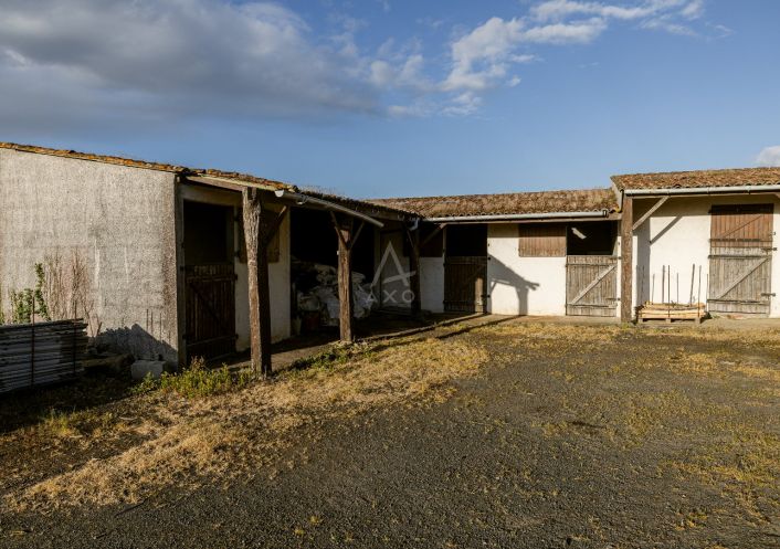 vente Domaine Le Loroux Bottereau