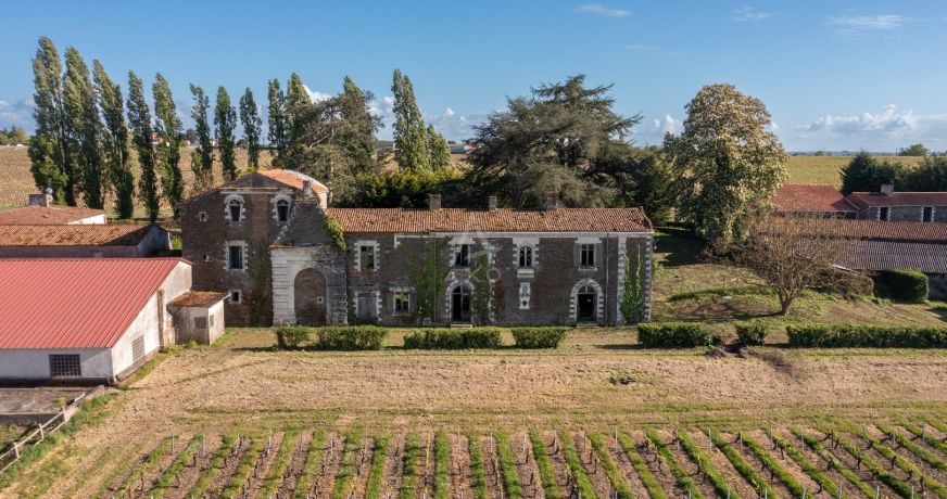 vente Domaine Le Loroux Bottereau