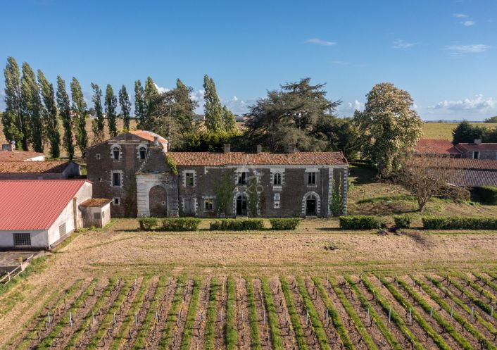 vente Domaine Le Loroux Bottereau