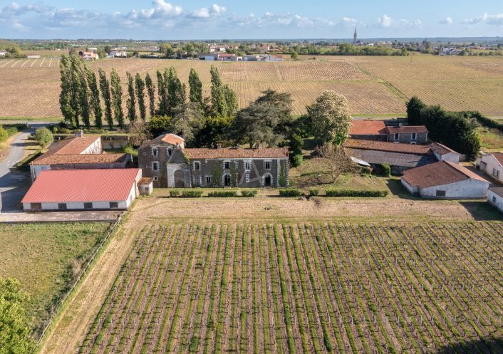 vente Domaine Le Loroux Bottereau