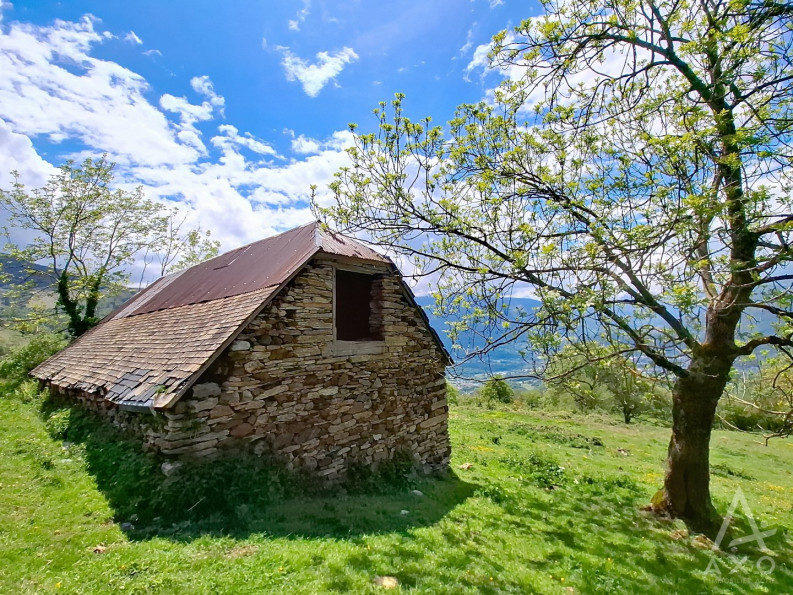 vente Grange Saint Pastous - Photo 1