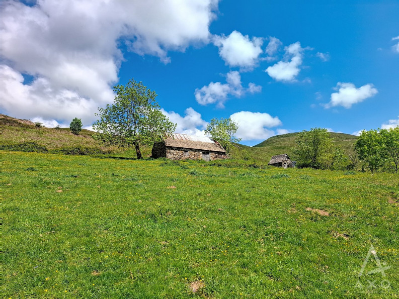 vente Grange Saint Pastous - Photo 5