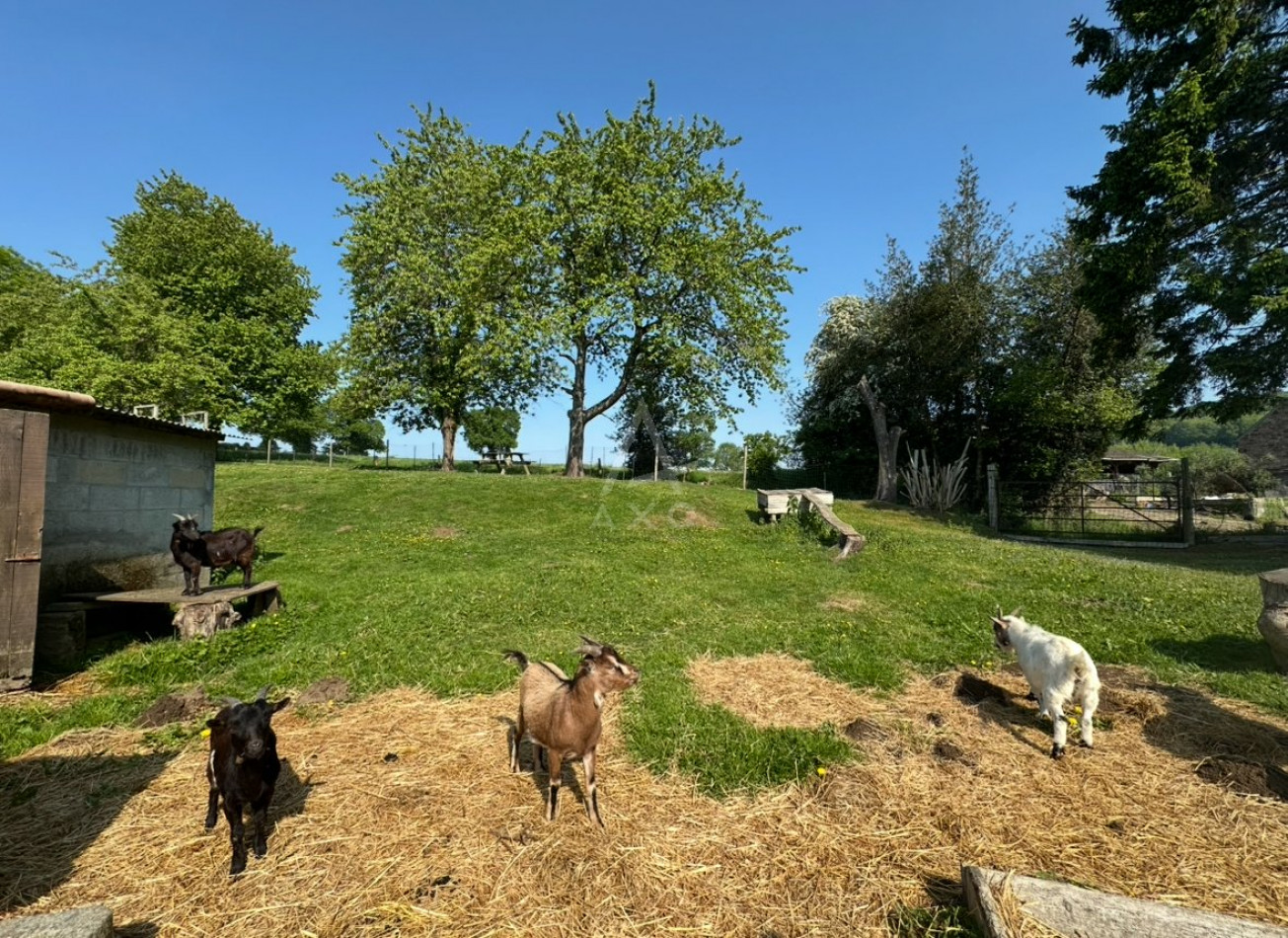 vente Haras / equestre Flers - Photo 20