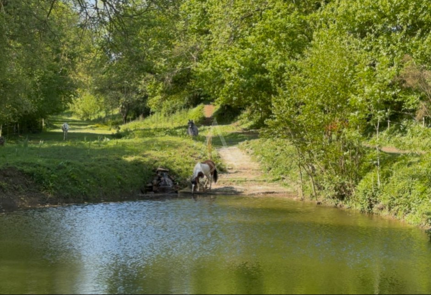 vente Haras / equestre Flers - Photo 2