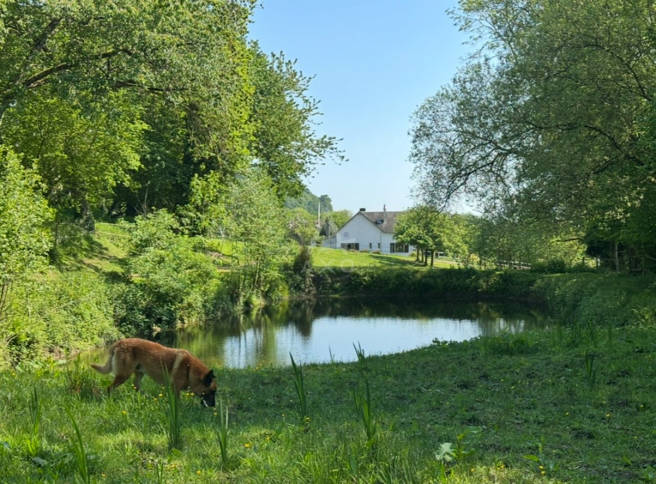 vente Haras / equestre Flers - Photo 13