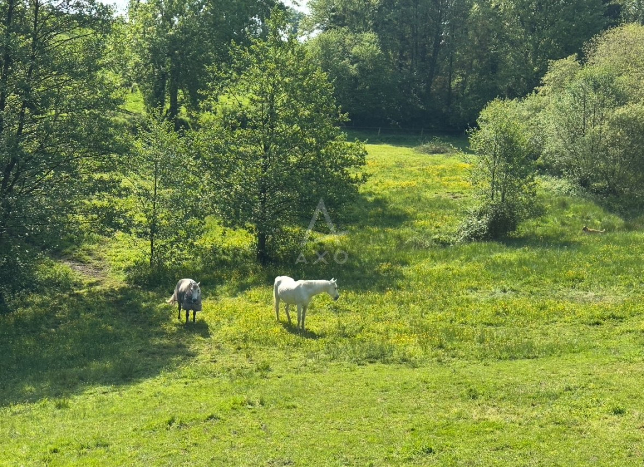 vente Haras / equestre Flers - Photo 17