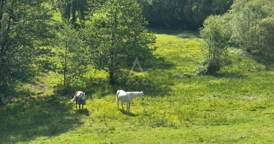 vente Haras / equestre Flers