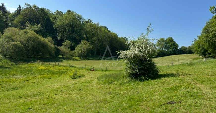 vente Haras / equestre Flers