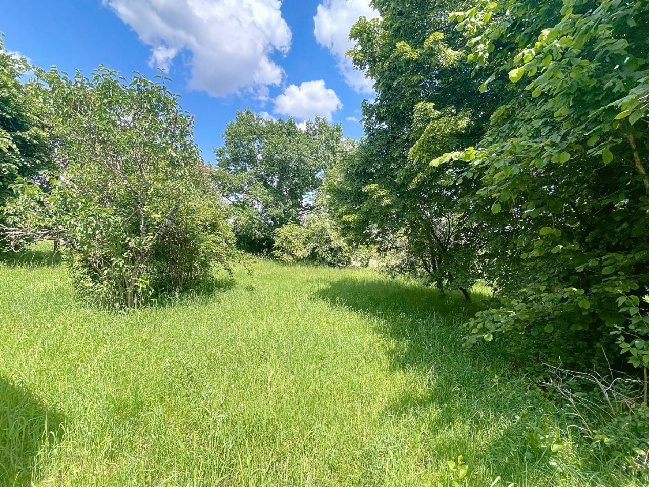 vente Maison Saint Benoit Sur Loire - Photo 7