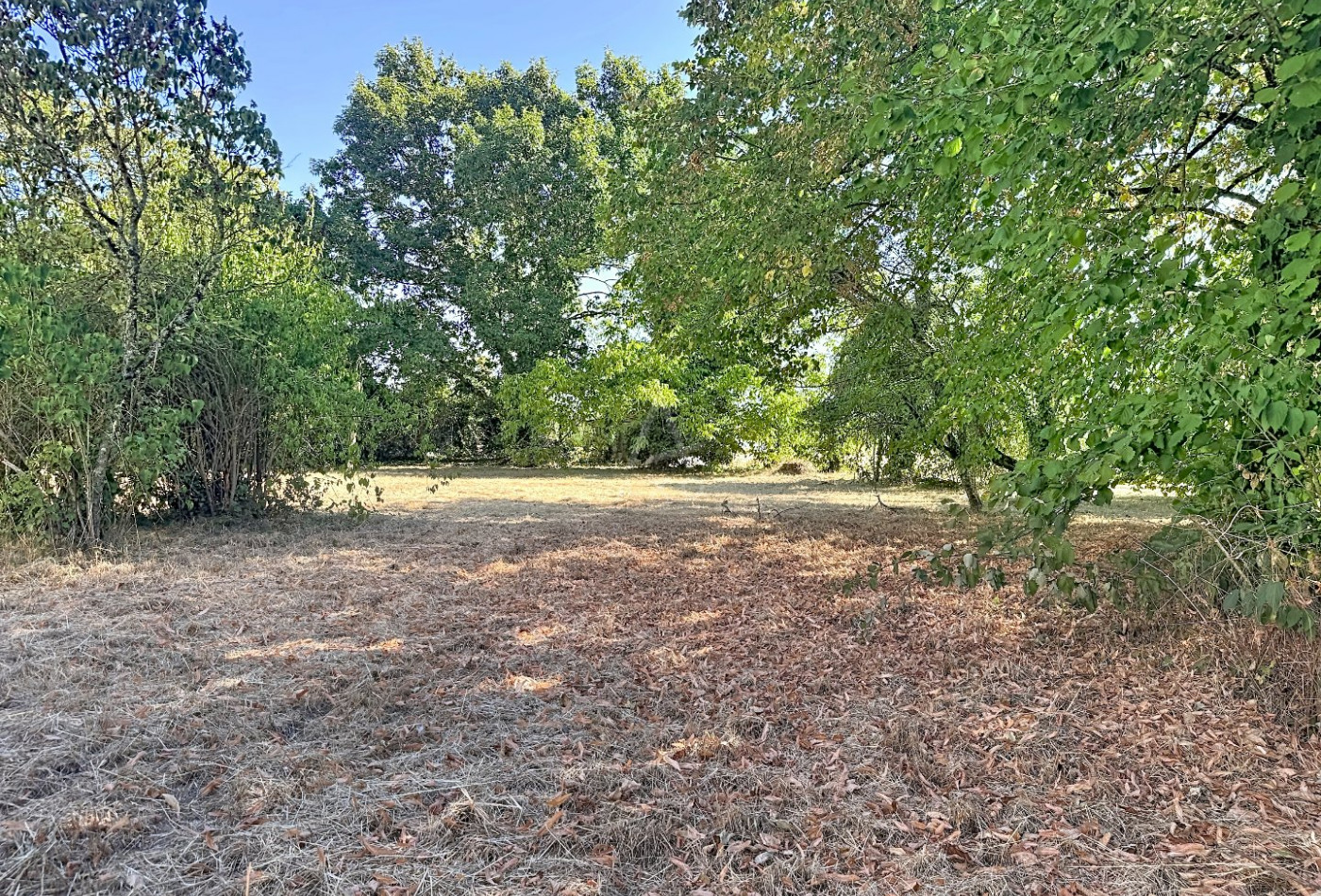 vente Maison Saint Benoit Sur Loire - Photo 3