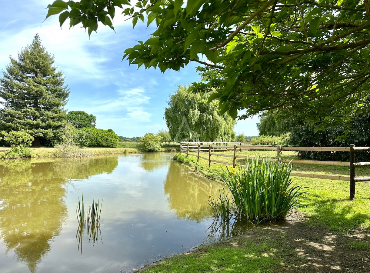 vente Haras / equestre Le Mans - Photo 9