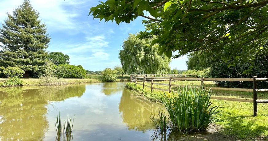 vente Haras / equestre Le Mans