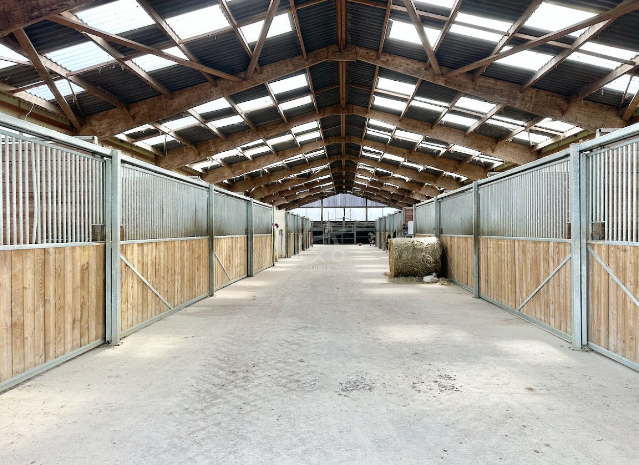 vente Haras / equestre Le Mans - Photo 3