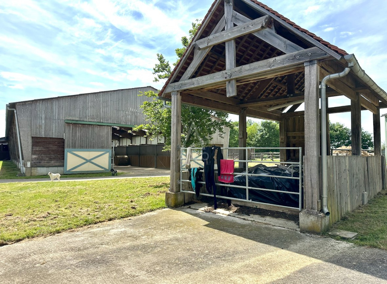 vente Haras / equestre Le Mans - Photo 14