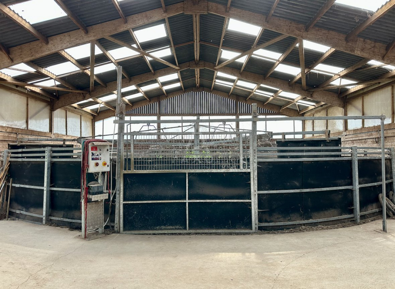 vente Haras / equestre Le Mans - Photo 8