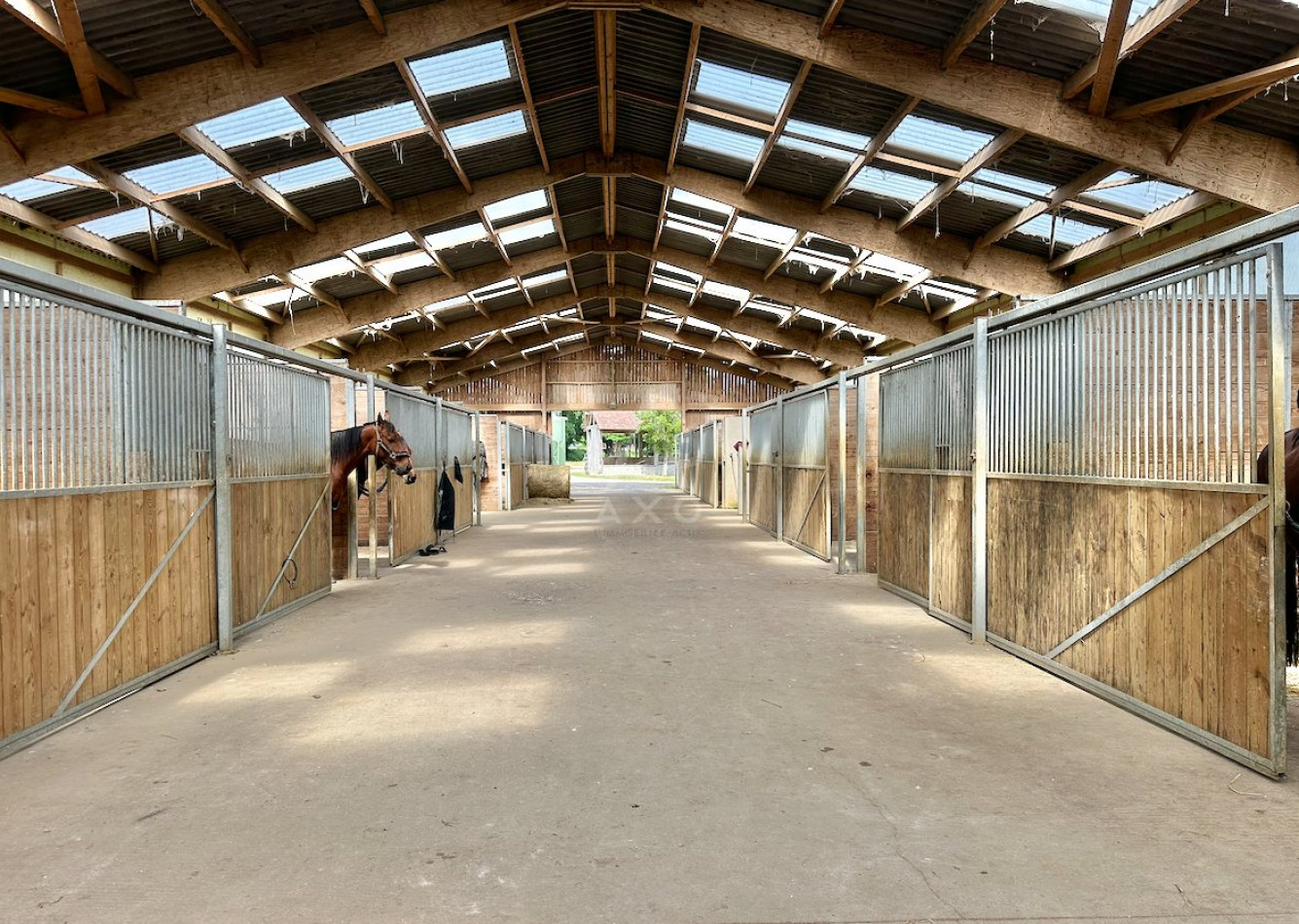 vente Haras / equestre Le Mans - Photo 12