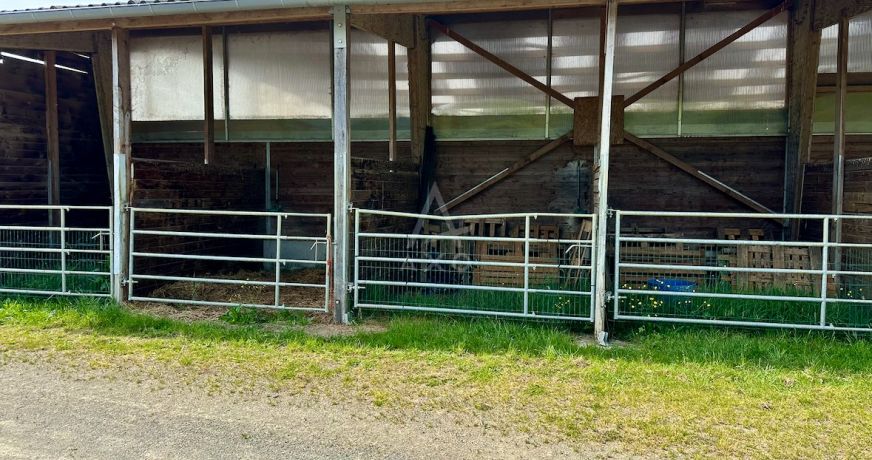 vente Haras / equestre Le Mans