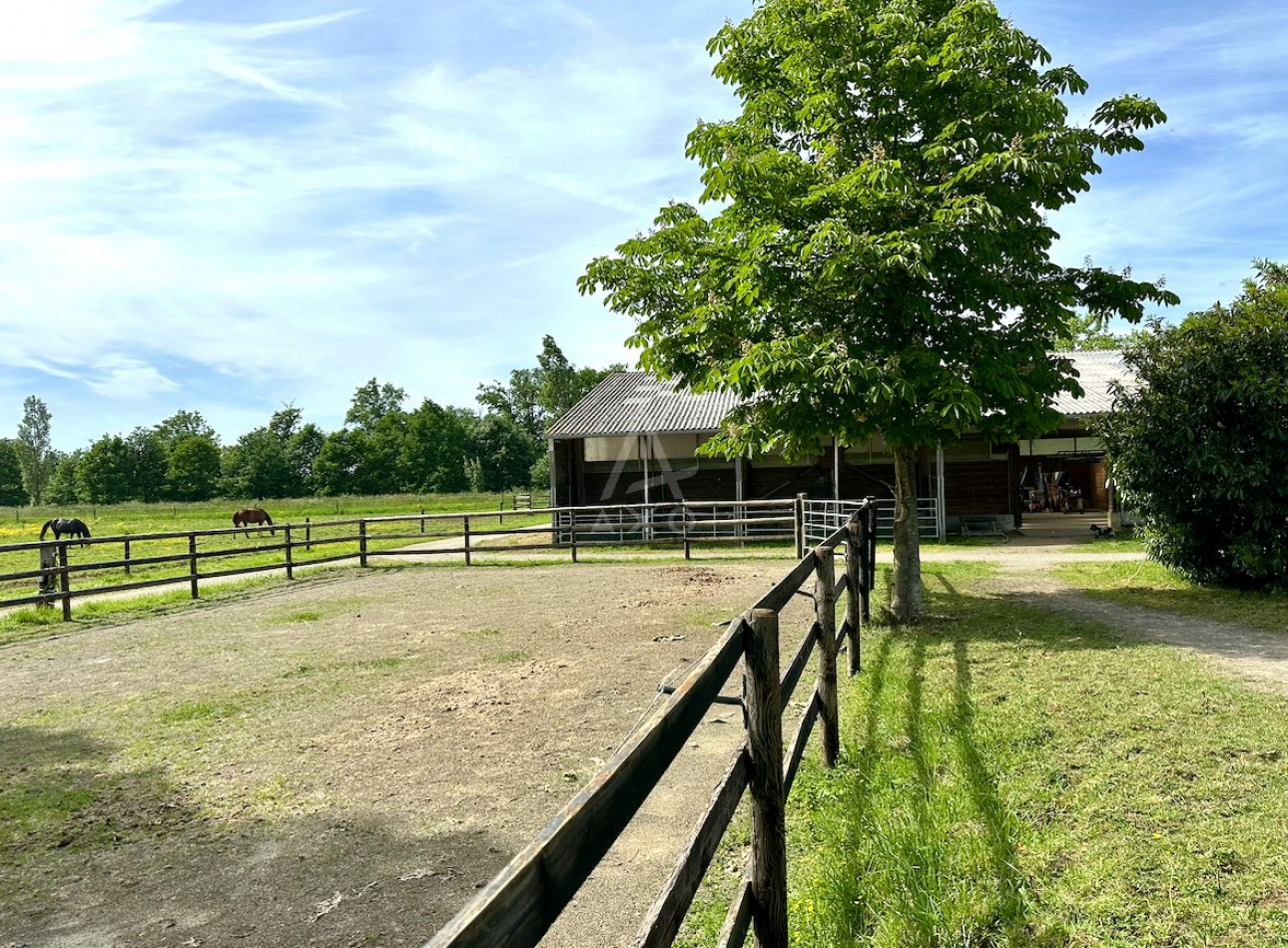 vente Haras / equestre Le Mans - Photo 7