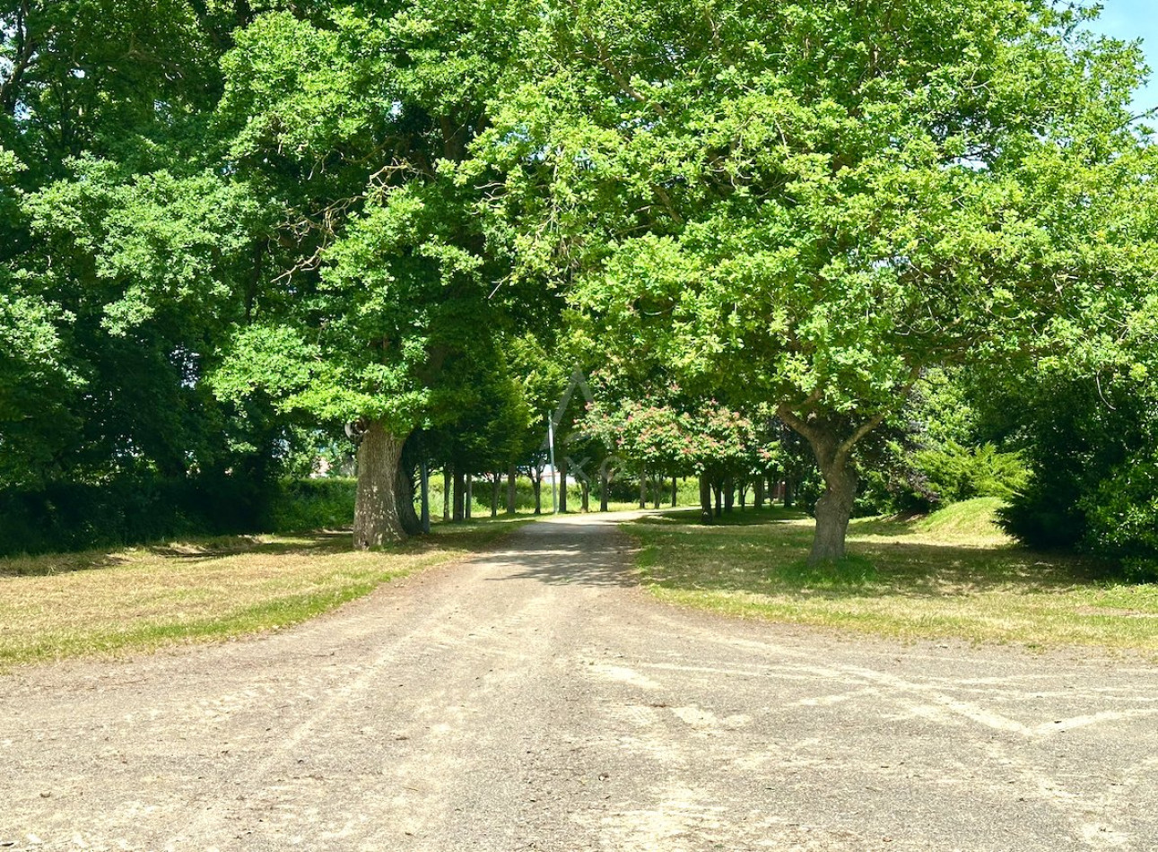 vente Haras / equestre Le Mans - Photo 15
