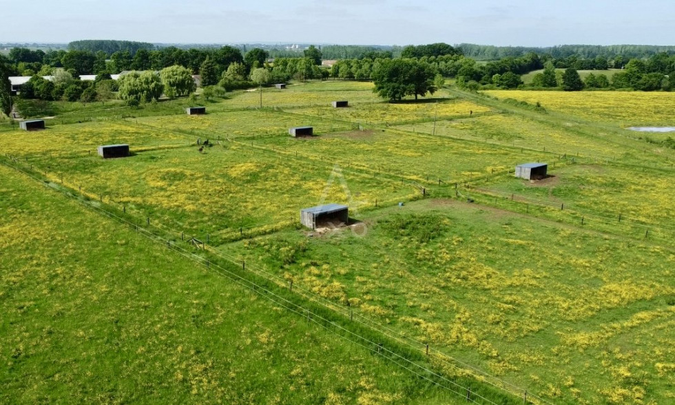 vente Haras / equestre Le Mans - Photo 6