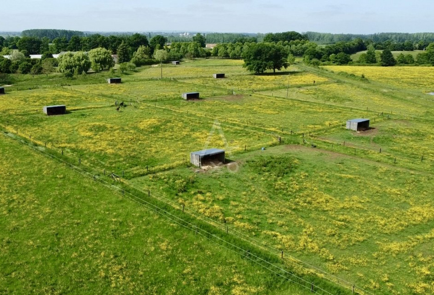 vente Haras / equestre Le Mans - Photo 6