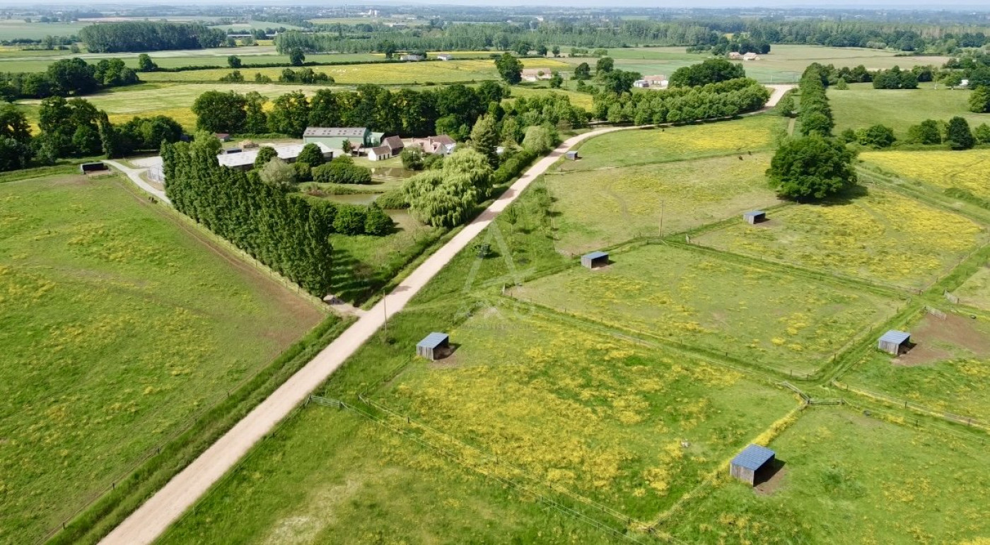 vente Haras / equestre Le Mans - Photo 1