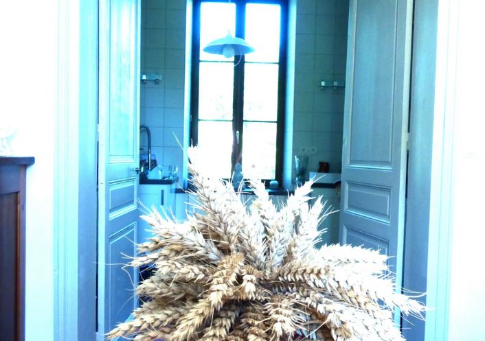 vente Maison de caractère Alluyes