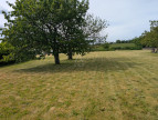 vente Terrain constructible Boussay