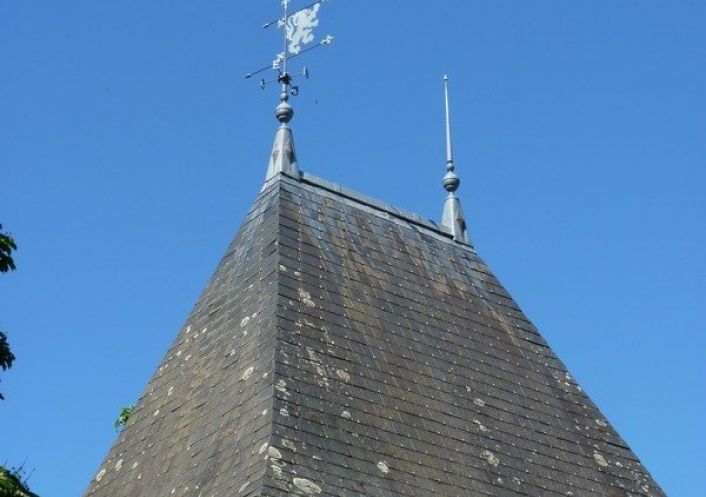 vente Demeure de ville et village Requeil