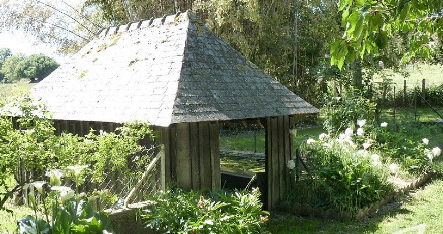 vente Demeure de ville et village Requeil