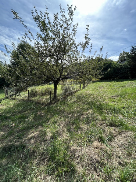 vente Maison Saint Baldoph - Photo 3