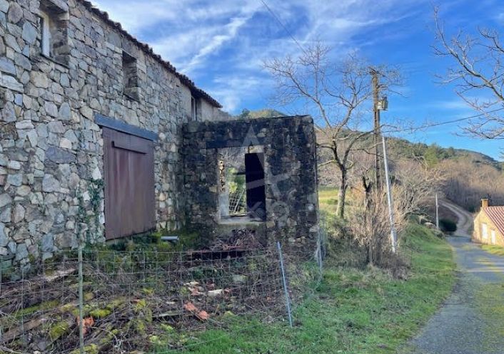 vente Maison de hameau Saint Etienne D'albagnan