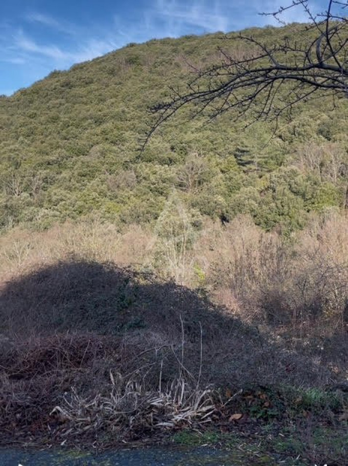 vente Maison de hameau Saint Etienne D'albagnan - Photo 5