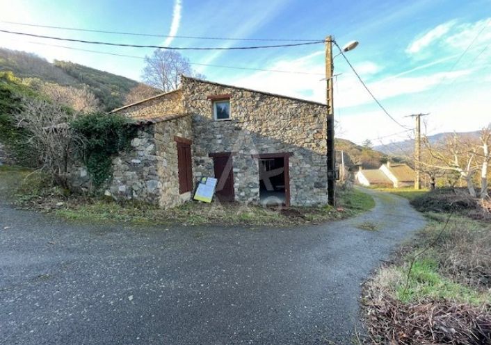 vente Maison de hameau Saint Etienne D'albagnan