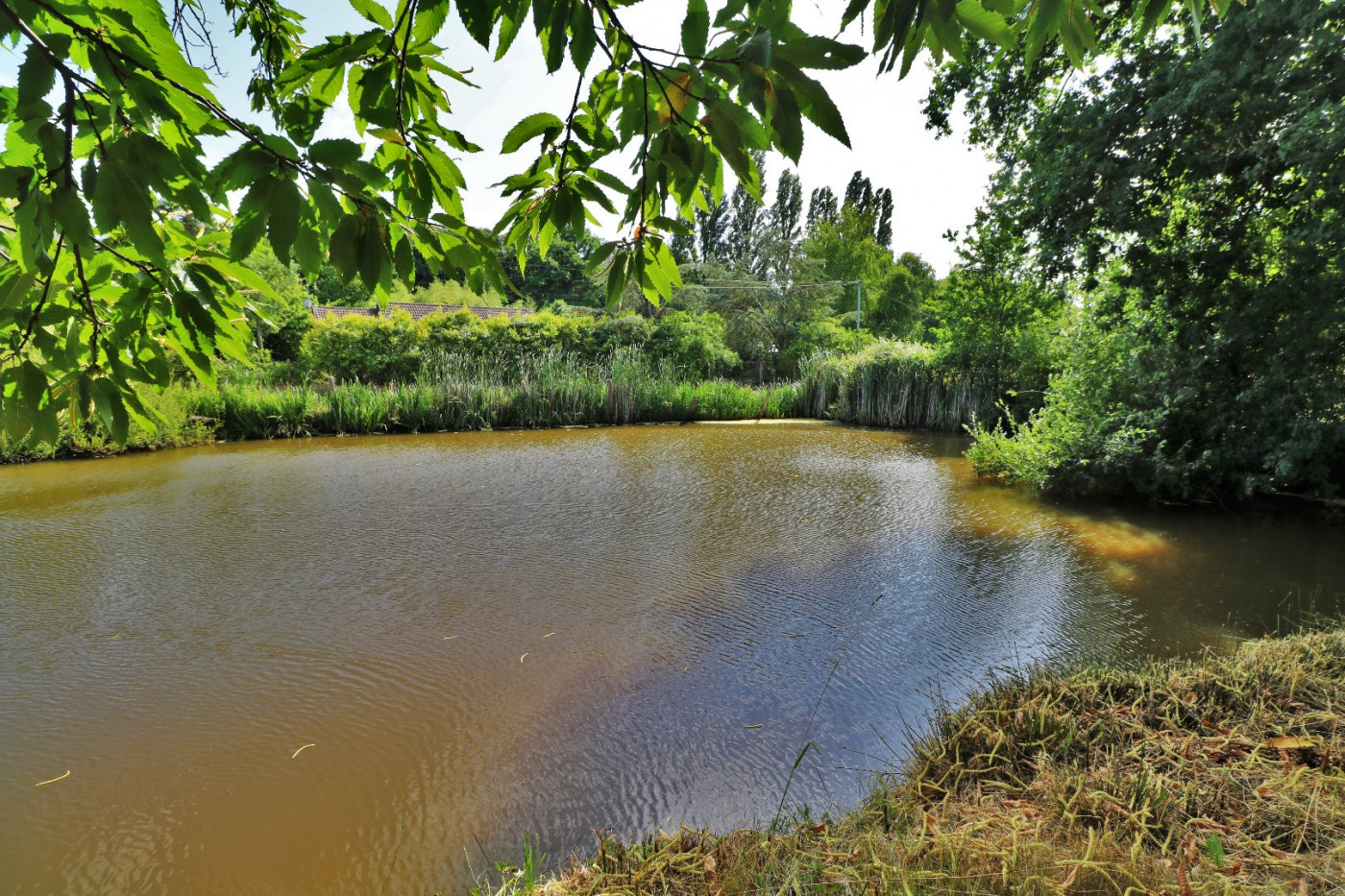 vente Fermette Melleroy - Photo 5