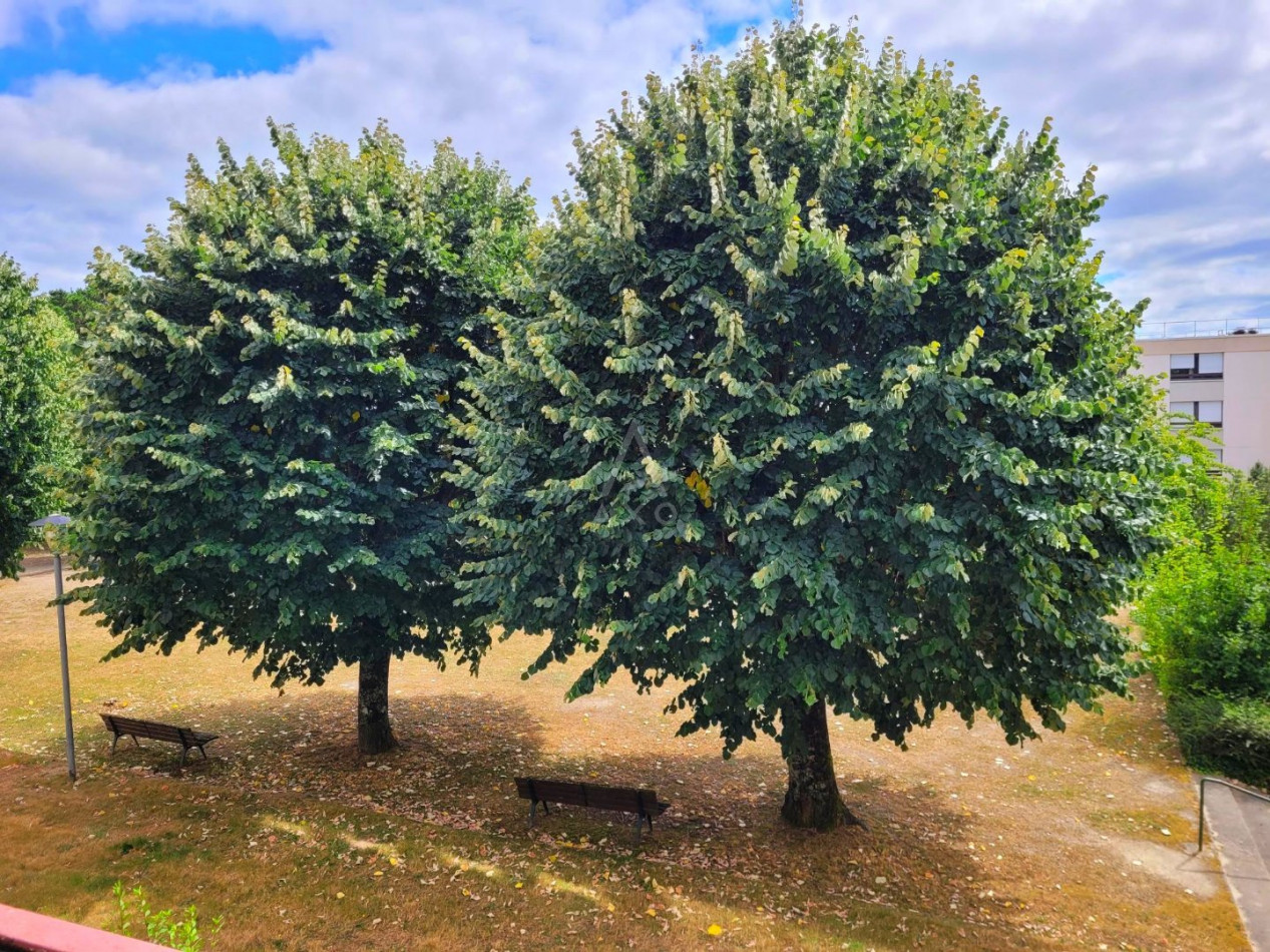 vente Appartement Saint Herblain - Photo 6