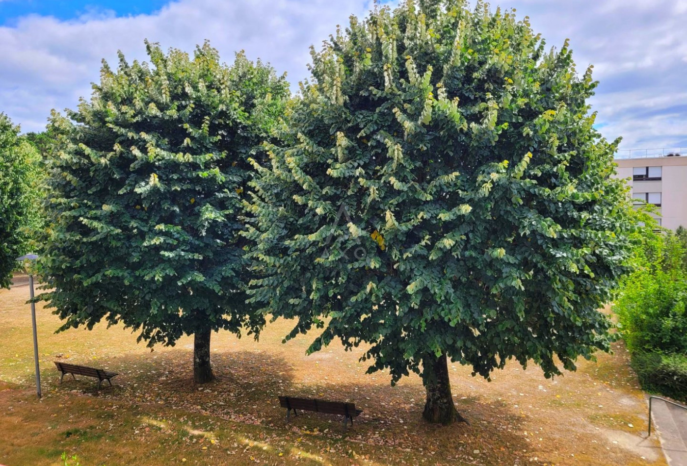 vente Appartement Saint Herblain - Photo 6