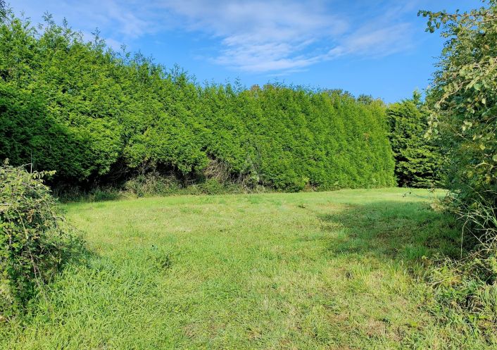 vente Terrain Moelan Sur Mer