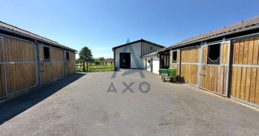 vente Haras / equestre Cabourg