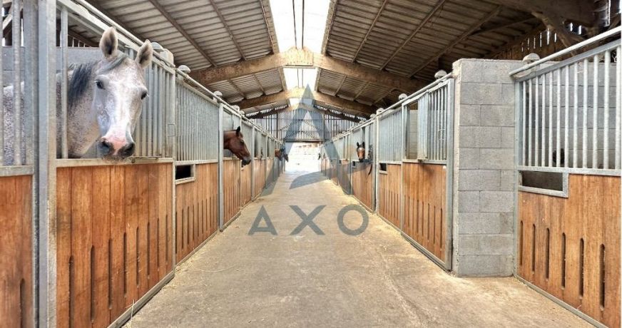 vente Haras / equestre Cabourg