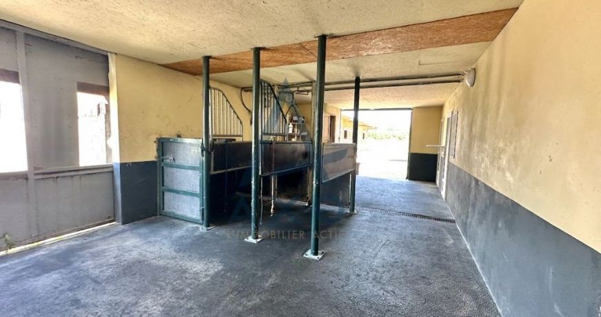 vente Haras / equestre Cabourg