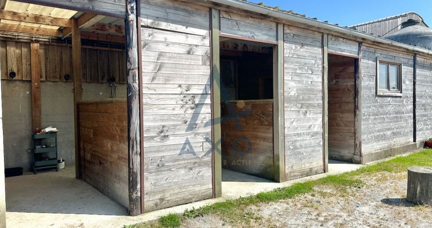 vente Haras / equestre Cabourg