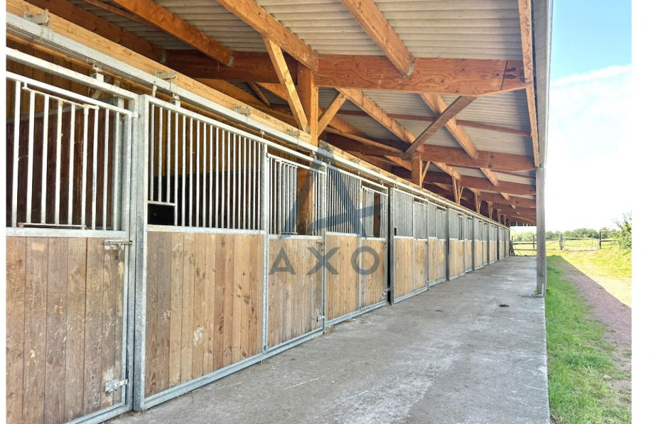 vente Haras / equestre Cabourg - Photo 5