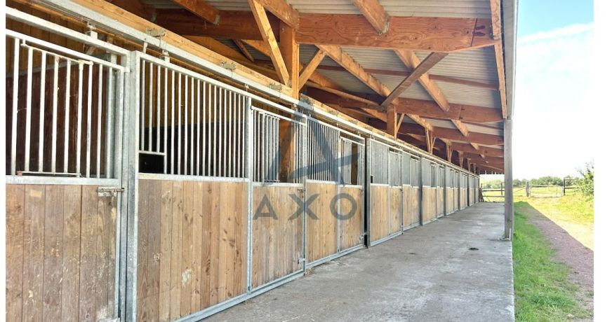 vente Haras / equestre Cabourg