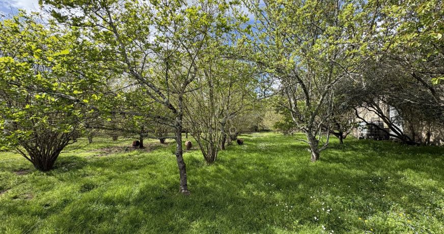 vente Maison en pierre Merignac