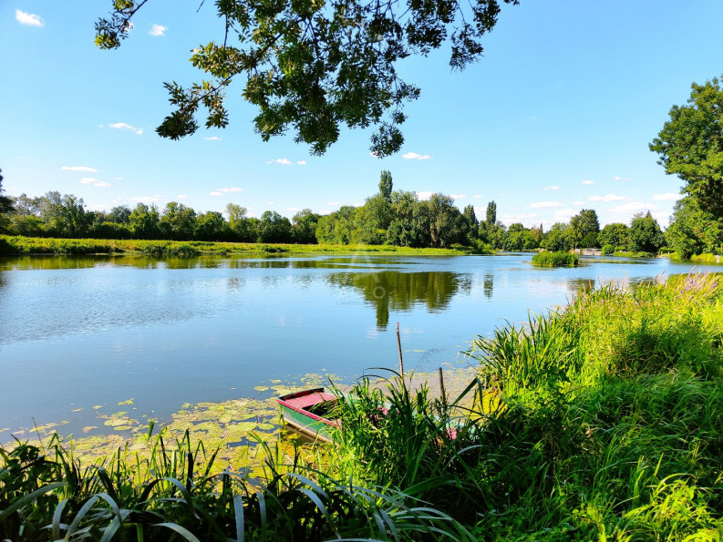 vente Maison Morannes - Photo 3