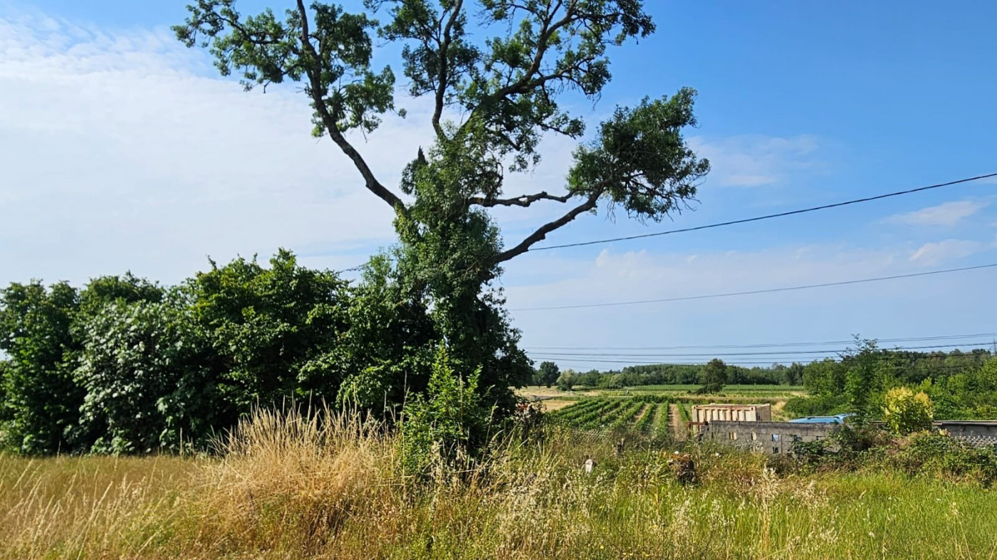 vente Maison à rénover Saint Germain De La Riviere - Photo 9